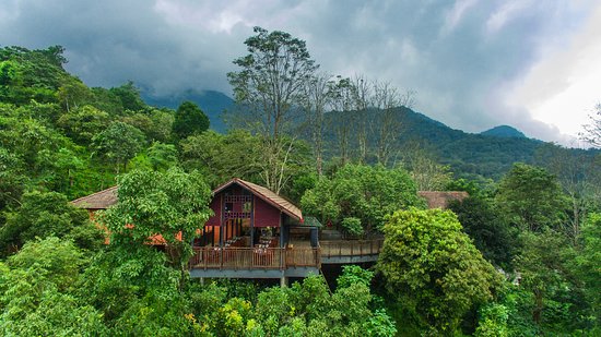 Wayanad Honeymoon Taxi Package